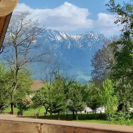 Ara Chalet Μπραν Εξωτερικό φωτογραφία